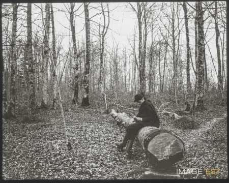 Homme assis sur un tronc d'arbre (Ville-sur-Illon)